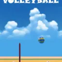 Ball Race 5: Volleyball cover art