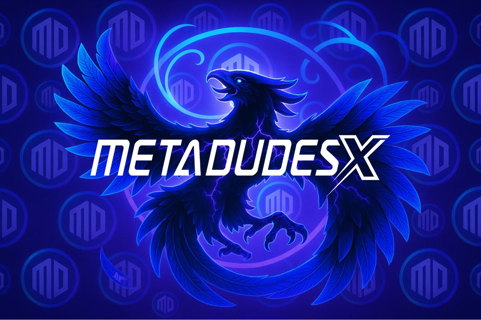 Discovery splash banner for METADUDESX Discord server