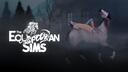 Discovery splash banner for The Equestrian Sims Discord server