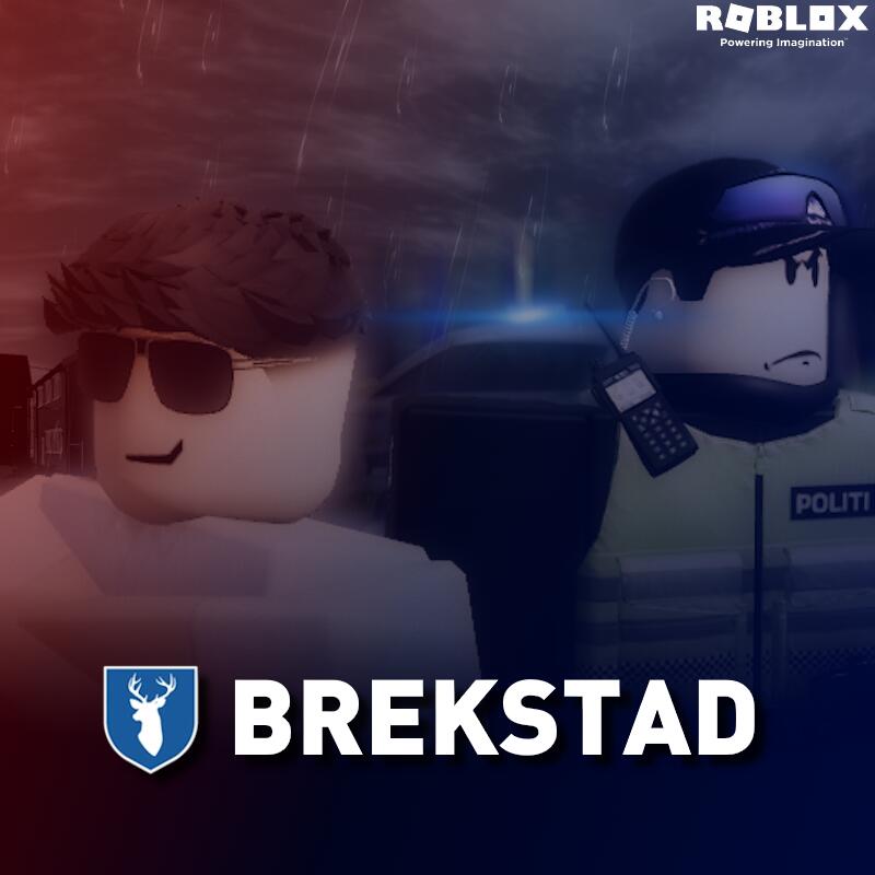 Discovery splash banner for Reinvika Kommune Discord server