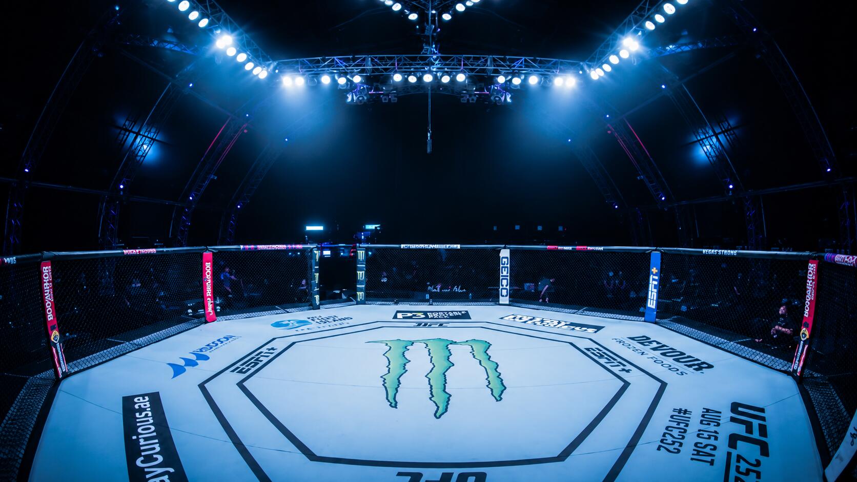 Discovery splash banner for UFC Türkiye #UFC334 Discord server