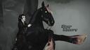 Discovery splash banner for Star Stable Online - Star Riders Discord server