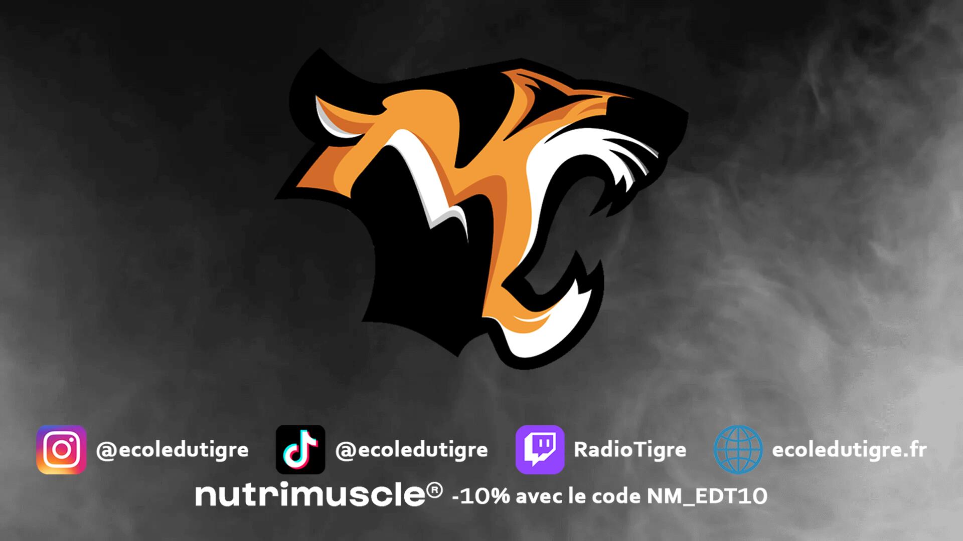 Discovery splash banner for L'Ecole du Tigre Discord server