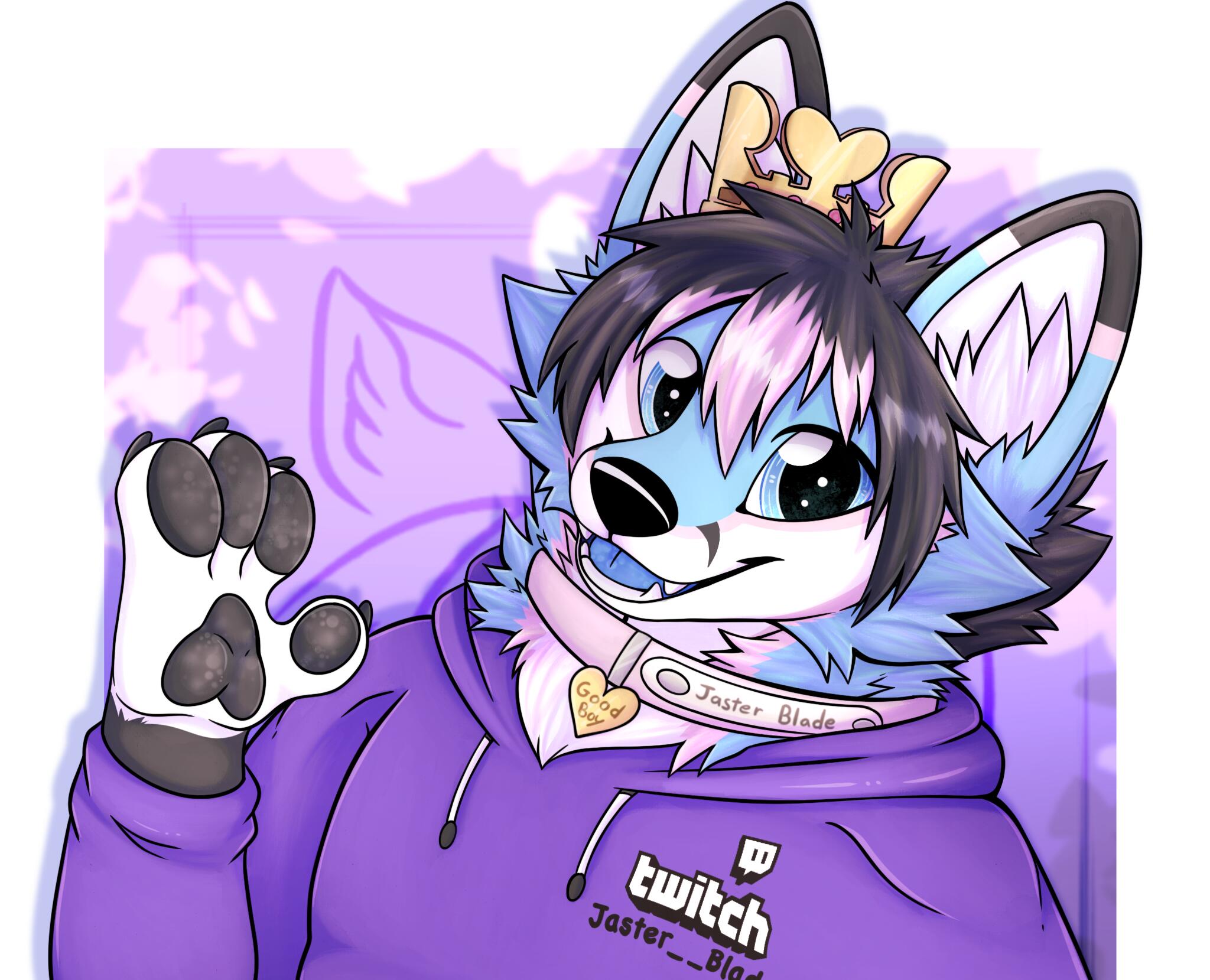 Discovery splash banner for JasterBlade & Compagnie Discord server