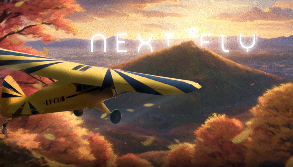 Discovery splash banner for Next Fly Discord server