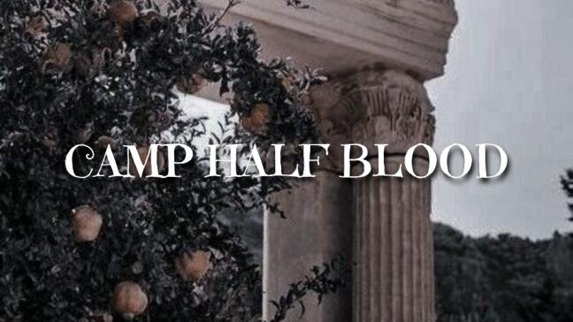 Discovery splash banner for Camp Half-Blood Discord server